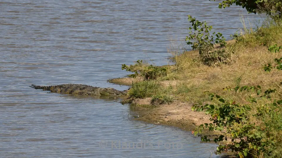 PKH_2232.jpg