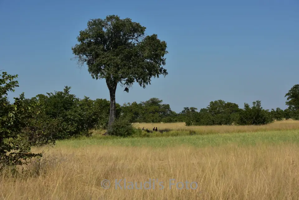 PKH_2532.jpg