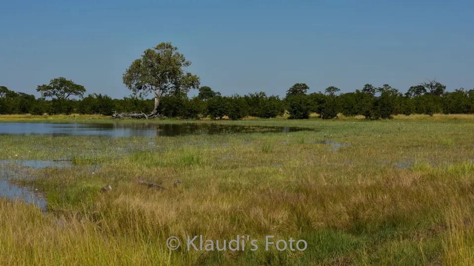PKH_2545.jpg