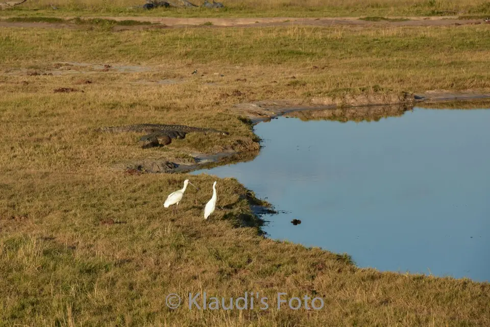 PKH_2720.jpg
