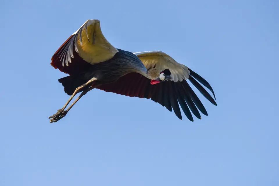 PKH_3057.jpg