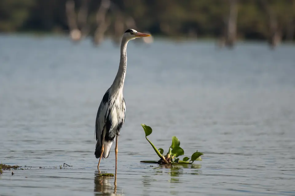PKH_6345.jpg