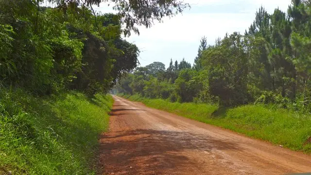 h4e22541.jpg