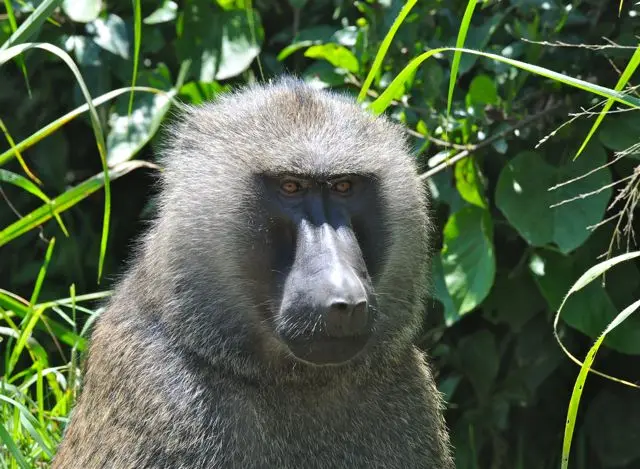 h8dbc2e2.jpg