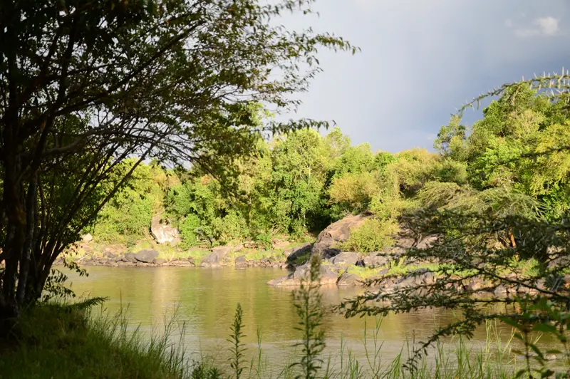 4_00152.jpg