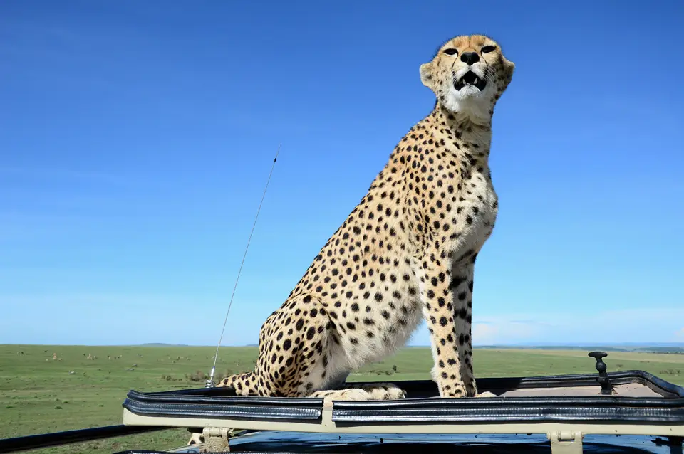 Kenia2012_1.jpg