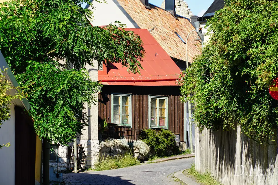 Schweden2021-338.jpg