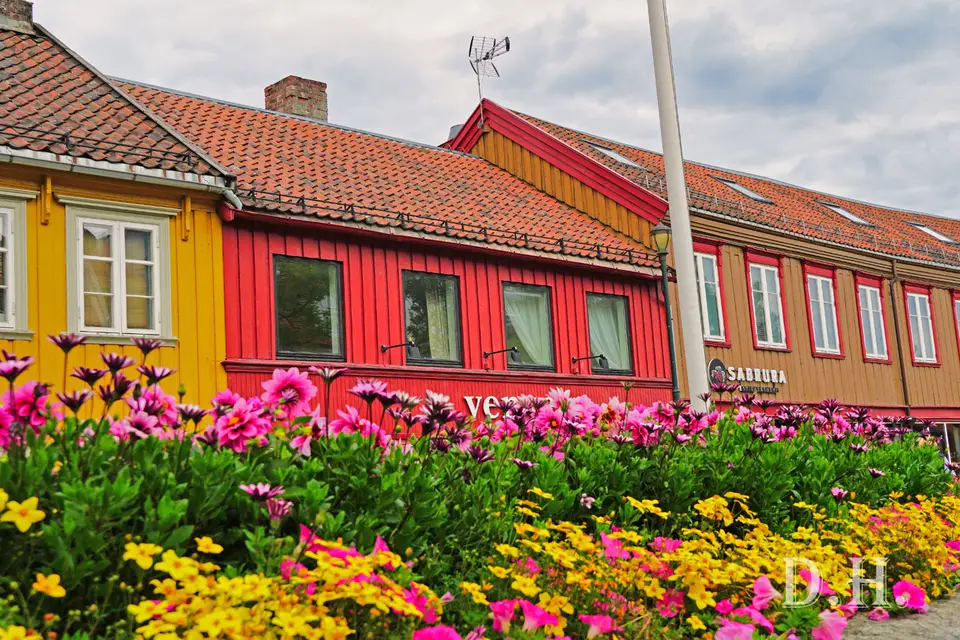 Skandinavien287.jpg