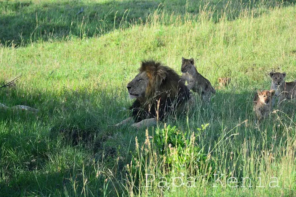 h9b3fa44.JPG