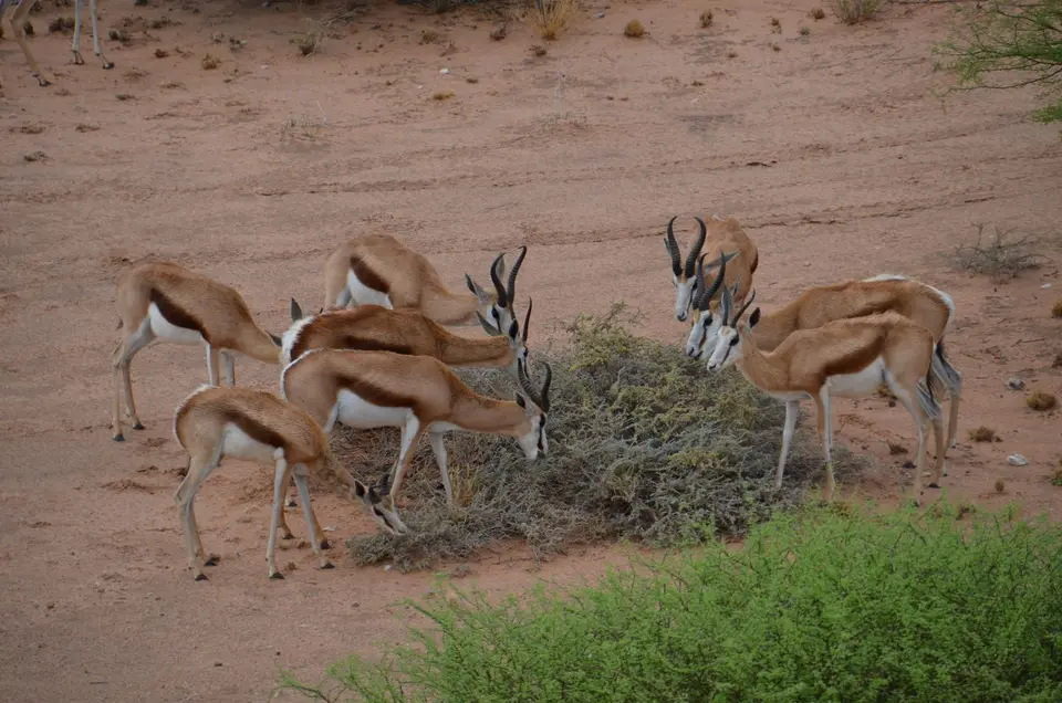 DSC_7667.JPG
