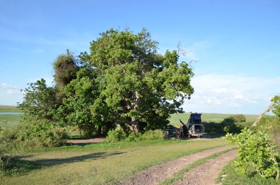 DSC_8435.JPG