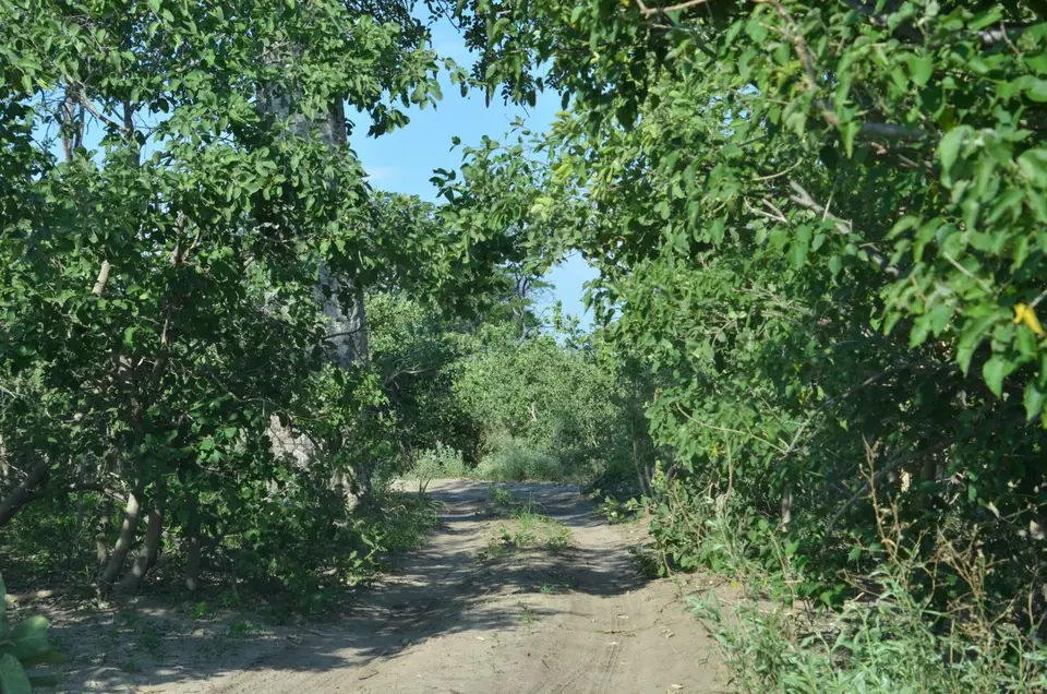 DSC_8594.JPG