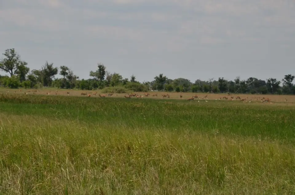 DSC_8655.JPG