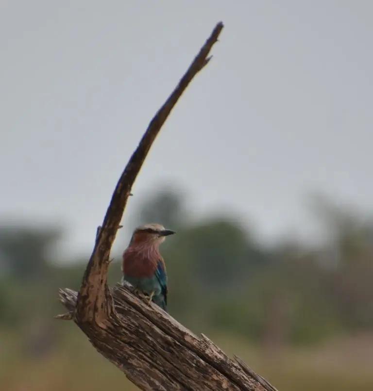 DSC_8836.JPG