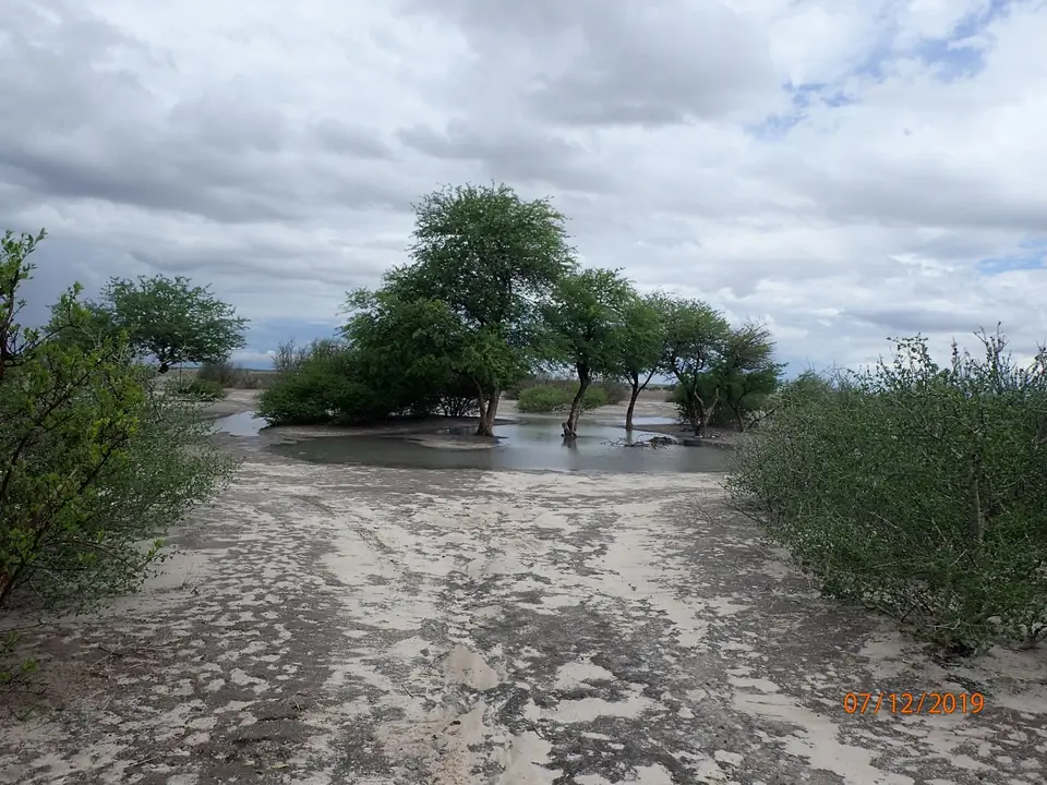 PC070232.JPG