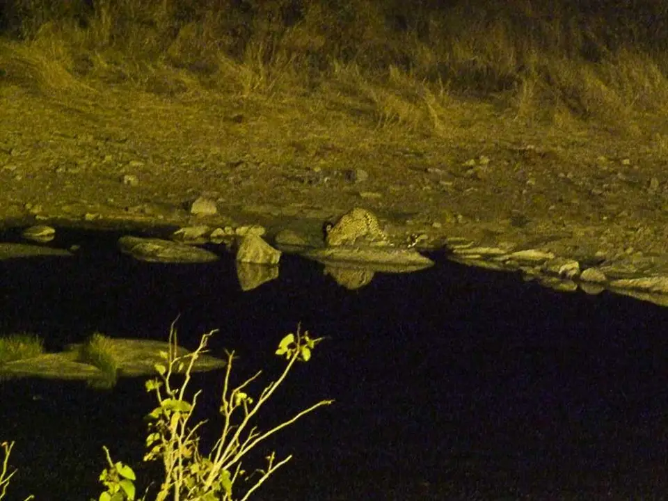 07HalaliWaterhole_00005a.jpg