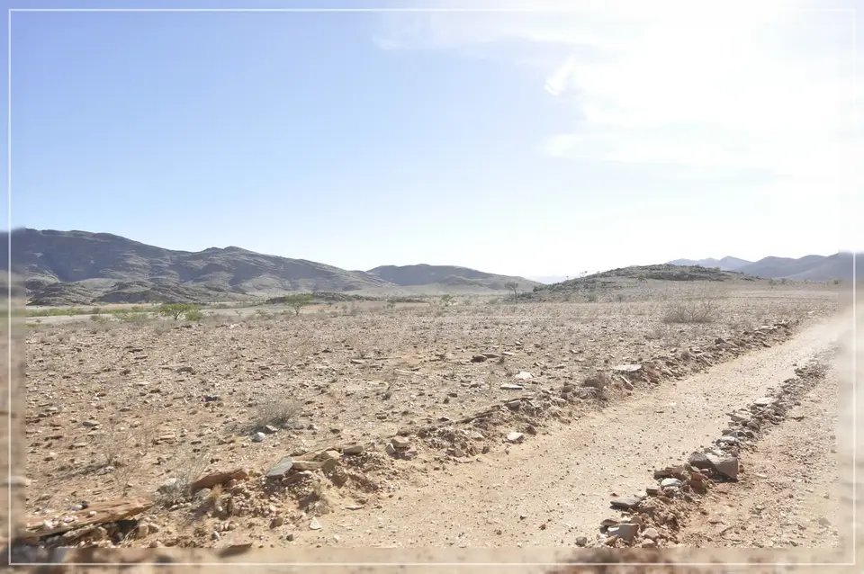 h19d1933.jpg