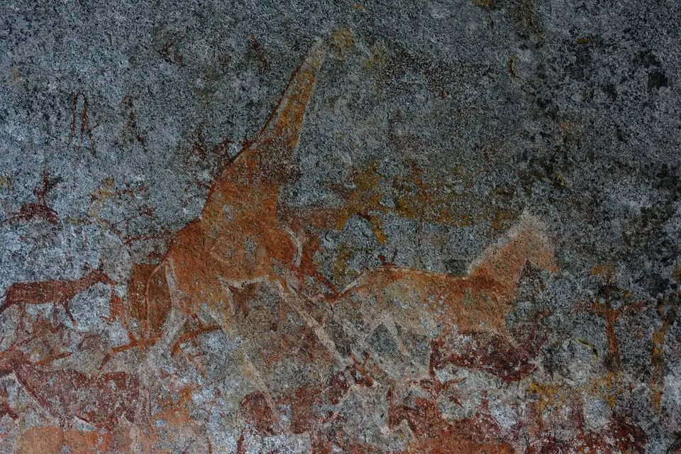 h396f1a1.JPG