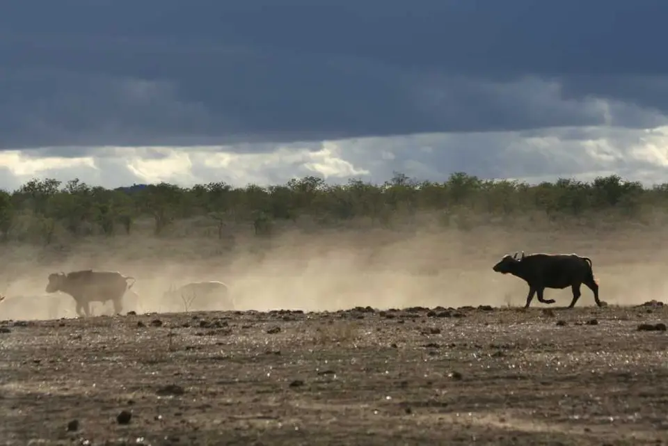 s-afrika2011143.JPG