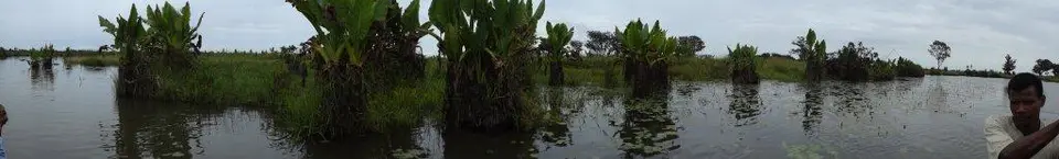 DSC00818.jpg