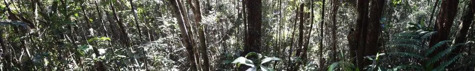 DSC01010.jpg