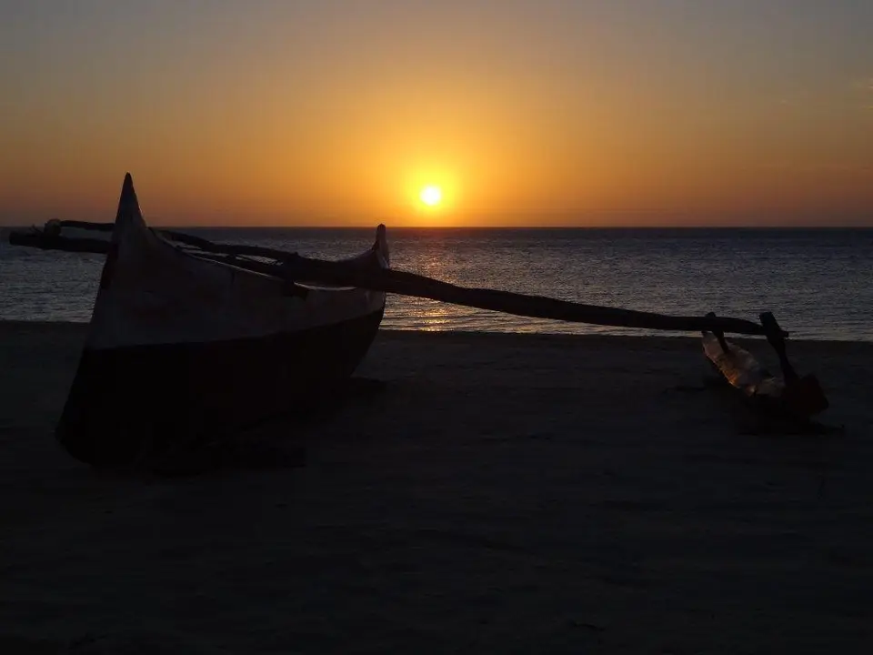 DSC01536.jpg