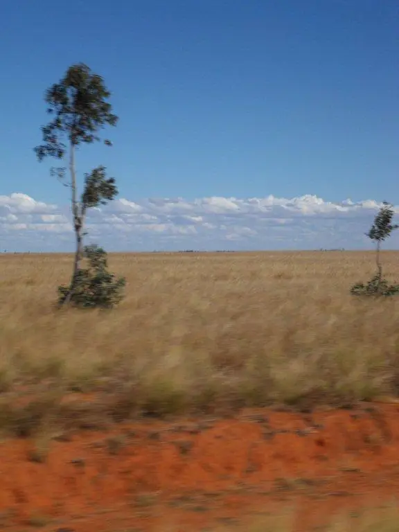 SDC16537.jpg