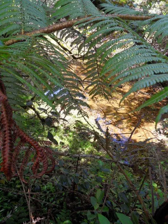 SDC17136.jpg