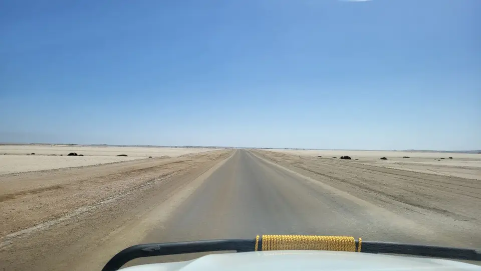 20260423_141425.jpg