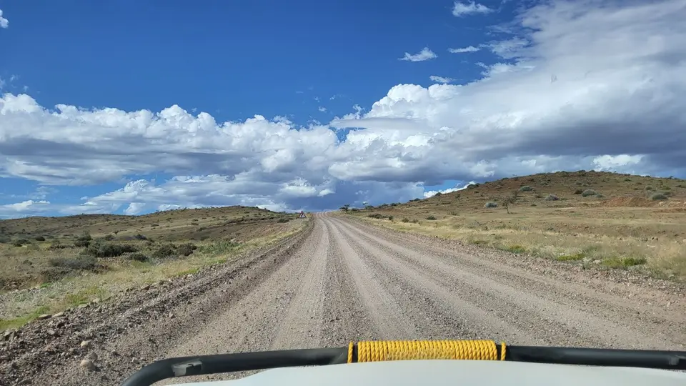 20260424_150337.jpg