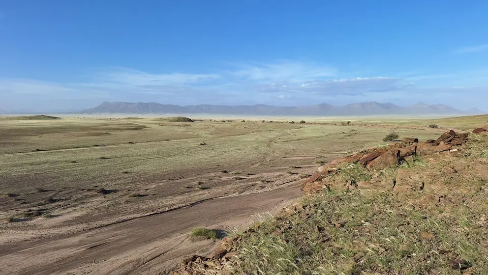 20260429_174308.jpg