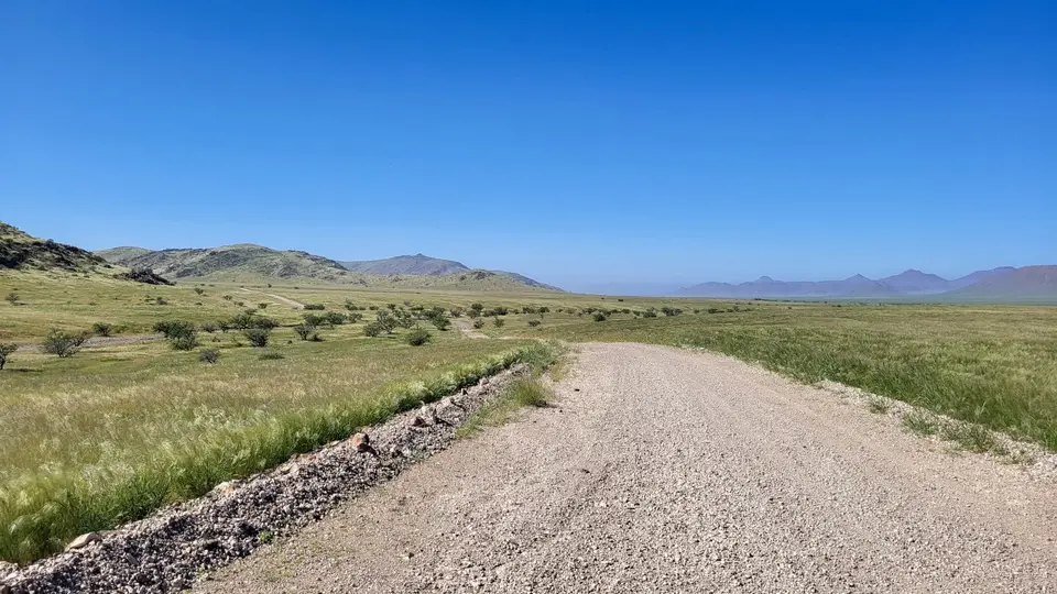 20260430_104919.jpg
