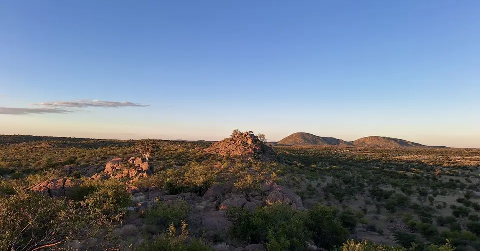 20260502_182554.jpg