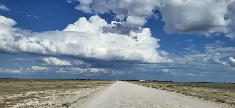 20260503_152541.jpg