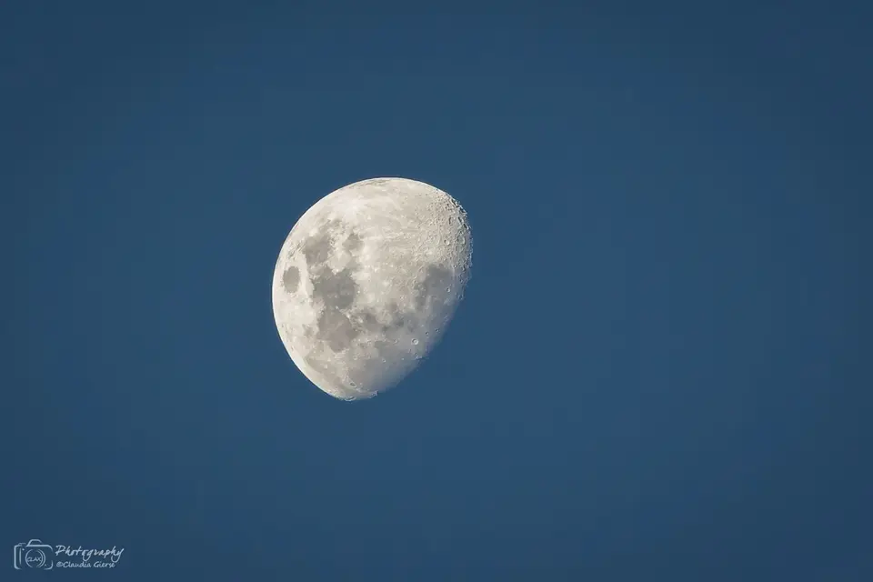 D1CG4901.jpg