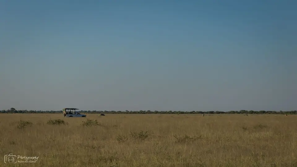 D7AG0369.jpg