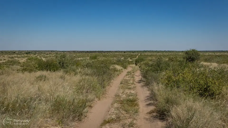 D7AG0430.jpg