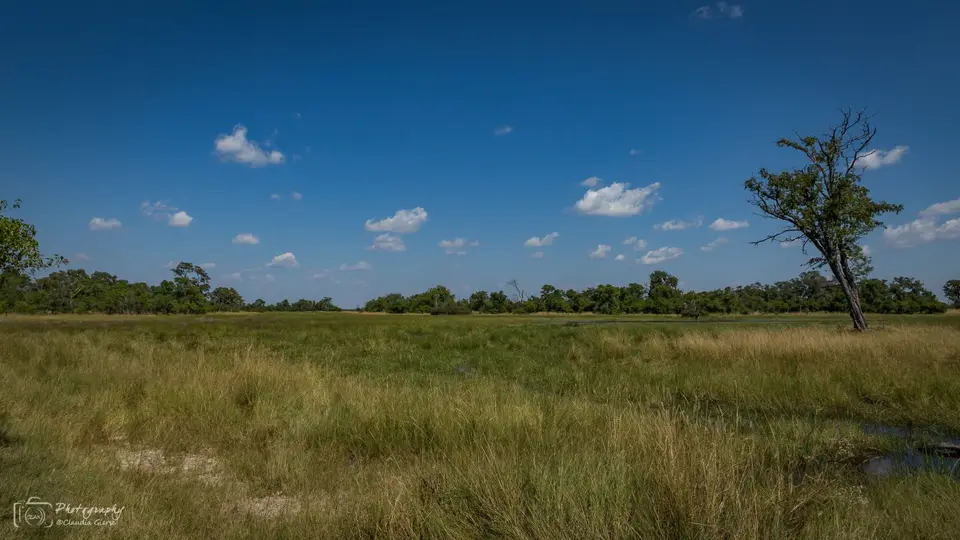 D7AG1139.jpg