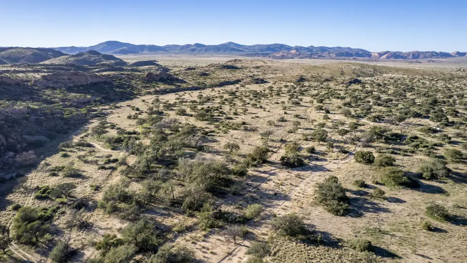 DJI_0009.jpg