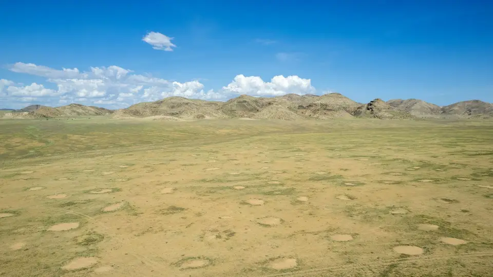 DJI_0122.jpg