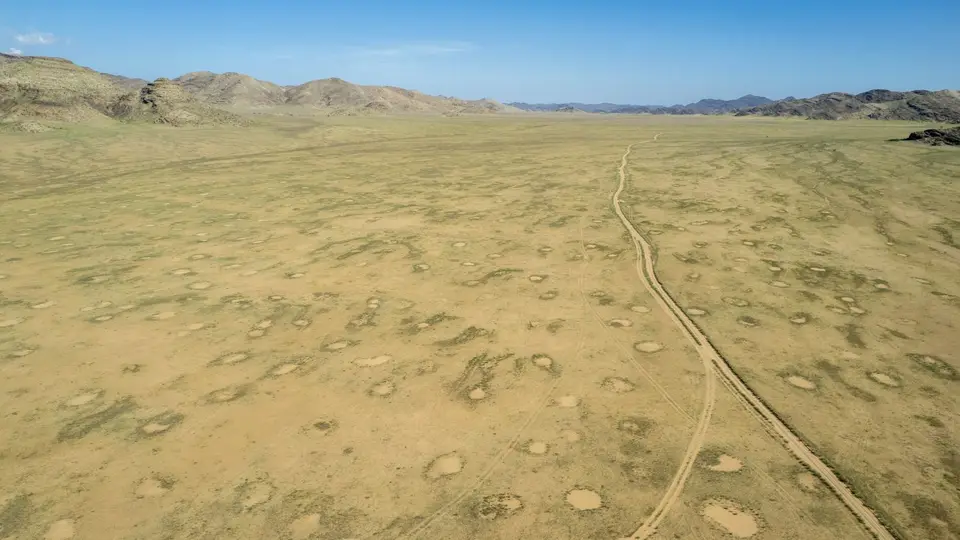 DJI_0124.jpg