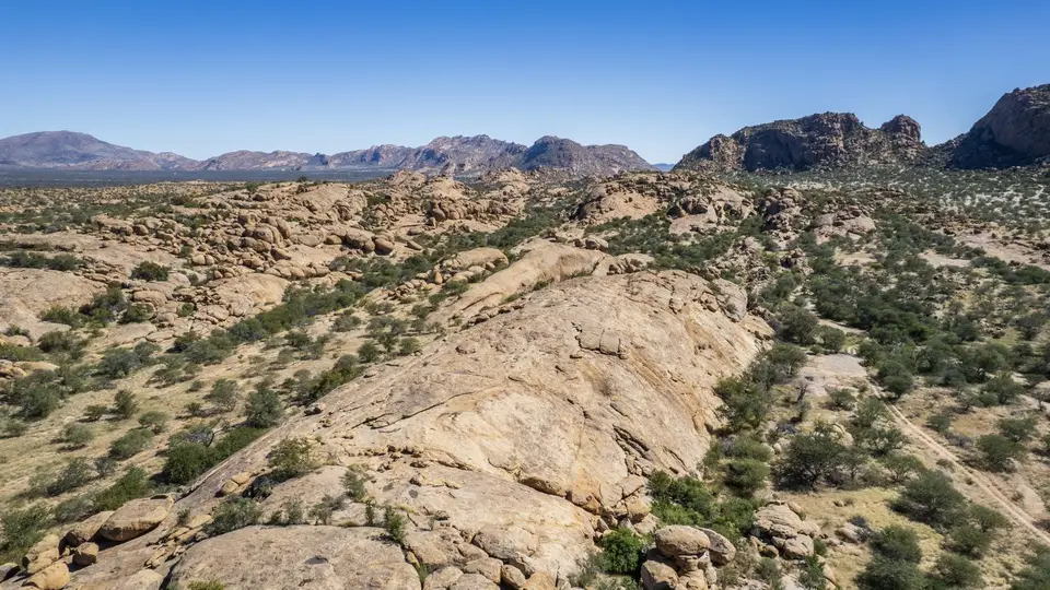 DJI_0380.jpg