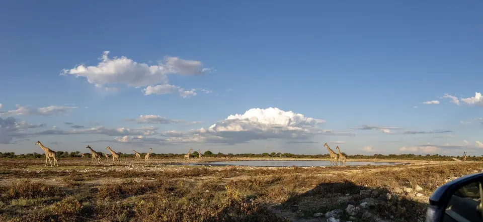 R6AG7329-Pano.jpg