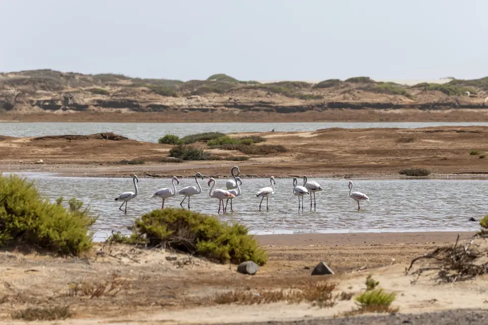R6CG4413-Bearbeitet.jpg