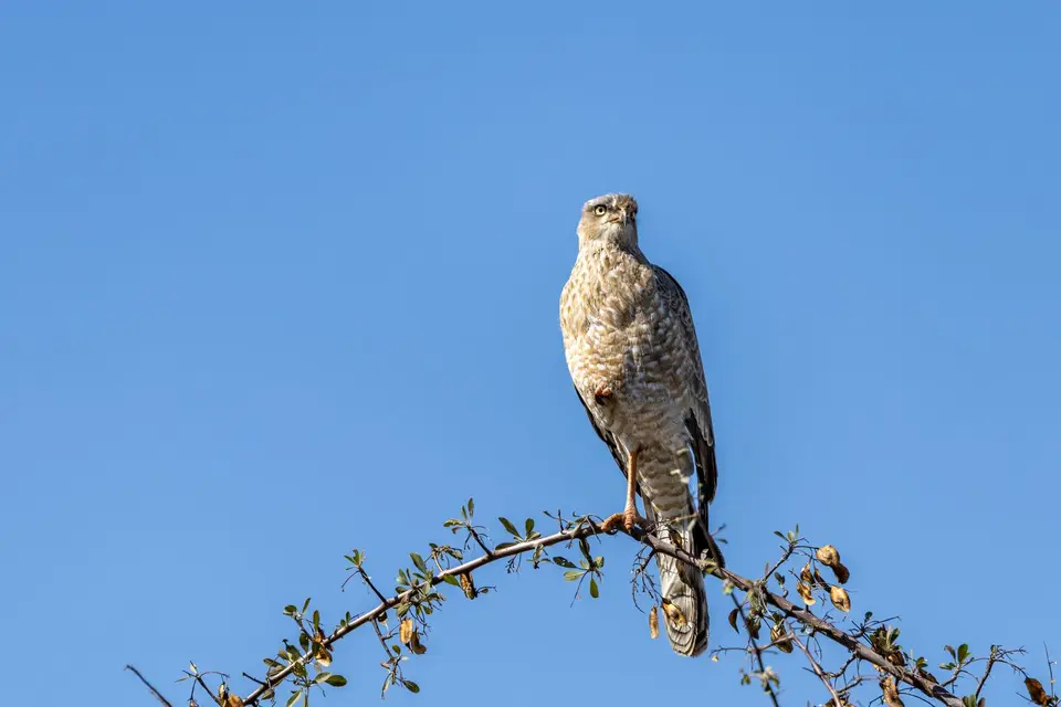 R6CG6315-Bearbeitet.jpg