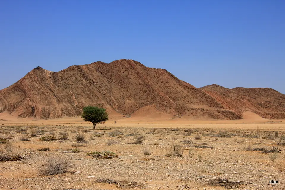 h0180596.JPG