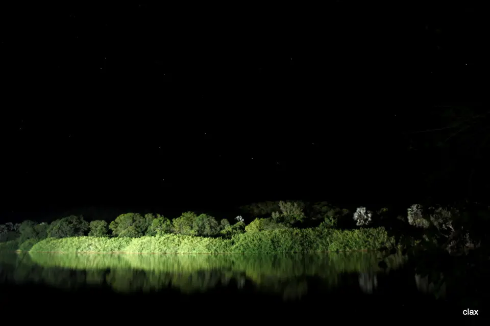 h164a4d9.JPG