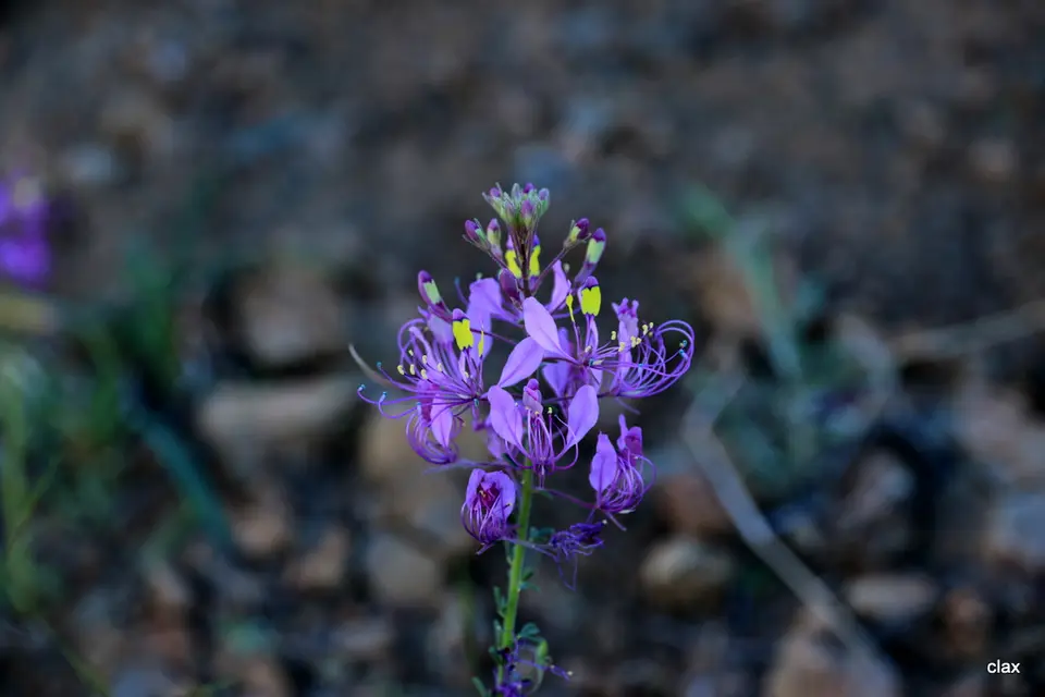h1f2534a.JPG