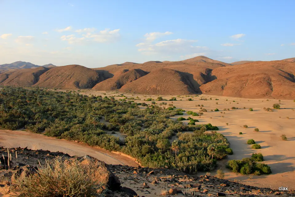 h2025524.JPG