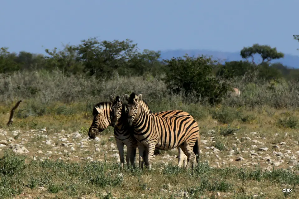 h6507436.JPG